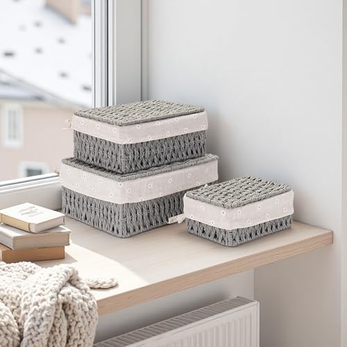 GIB Small Wicker Storage Baskets with Lid/Liner Woven Cute Decorative Boxes