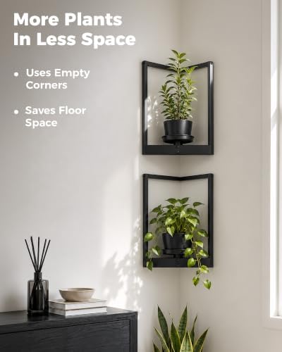 Bamworld Picture Frame Wall Planters Set of 2 Corner Wall Plant Holder