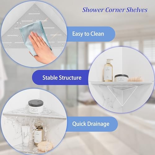 Neodrain 10 Inch Brushed Corner Wall Shelf for Tile Wall Insert, Set of 2