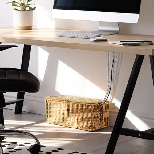 Cable Management Box, Handwoven Synthetic Rattan Cable Organizer, 2 Side Open Slots Cords Hider Box, Under Desk Cord Org