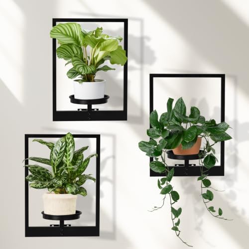 Floating Shelves Plant Stand Indoor Set of 3, Wall Planters to Hold Large Pots - Premium Metal Hanging Plant Holder for 