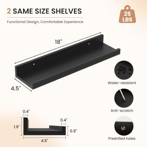 Dreamland Picture Ledge Shelf for Wall, Floating Shelves Set of 2,18 inch Long Floating Shelves with Lip for Living Room