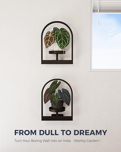 Bamworld Wall Plant Holder Plant Stand Indoor Wall Planters Round