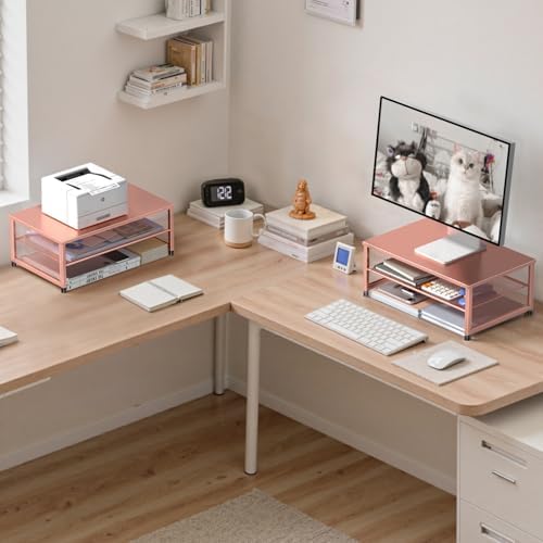 ECOLOVI 2-Tier Computer Monitor Stand Riser, Printer & Laptop Stand, Office Desk Accessories, Workspace Desk Organizer f