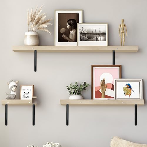 12 Pack L24 x H 12" Black Heavy Duty Shelf Brackets with Screws Metal Shelf Brackets Shelf Support Angle Brackets for Sh