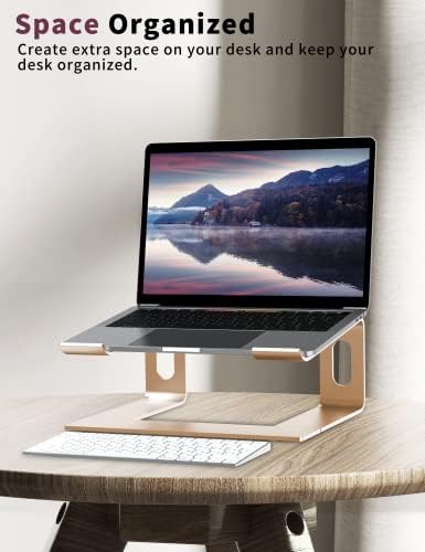 ALASHI Ergonomic Laptop Stand, Aluminum Desk Riser, 10-15.6", Gold