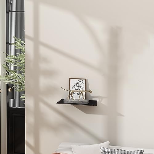 Danpoo 8 inch Small Floating Shelf for Wall Organizer & Storage, Mini Display Shelf, Metal Wall Shelf for Bathroom, Livi