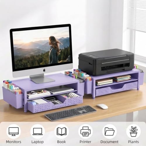 ECOLOVI Desk Organizer and Accessories, 2-Tier Computer Monitor Stand Rise with Storage Drawer & 2 Pen Holders, Laptop &