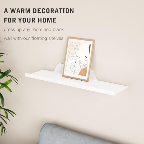 Floating Shelf for Wall, Off Center Metal Shelf for Decor, Modern Wall Shelf for Storage with Lip, Hanging Shelf for Liv