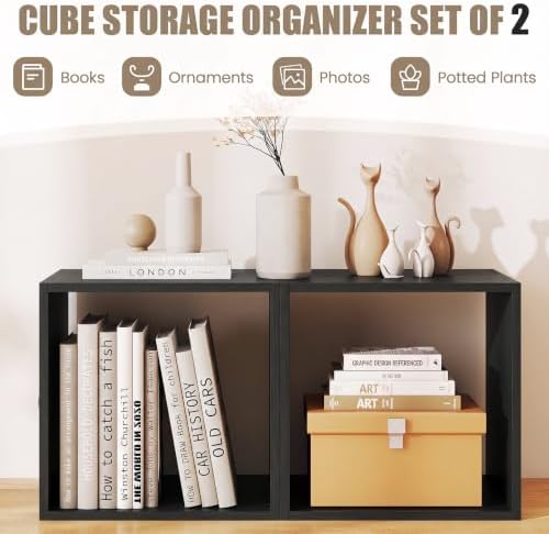 LOKO Stackable 2 Cube Storage Organizer, 2-Tier Bookshelf (1, Black)