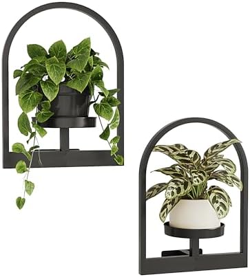 Bamworld Wall Plant Holder Plant Stand Indoor Wall Planters Round