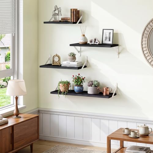 YGEOMER 4 Different Sizes Floating Shelves for Wall Decor, Black and White