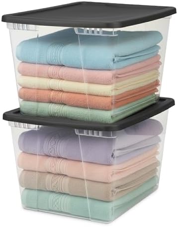 HOMZ Snaplock, Large Clear Plastic Storage Organizer Bins w/Lids, 2 Pack