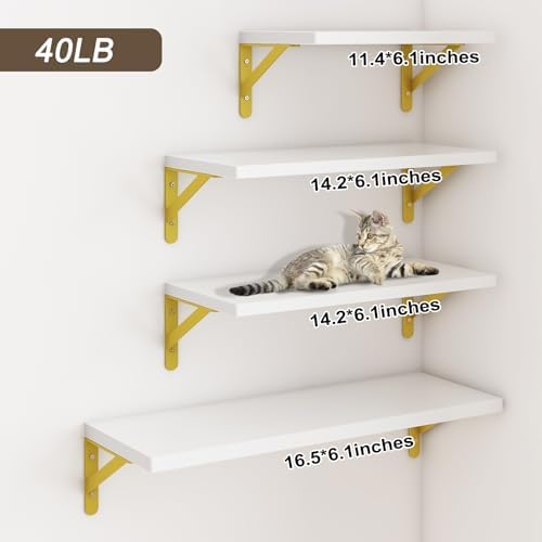 YGEOMER 4 Different Sizes Floating Shelves for Wall Decor, White and Gold