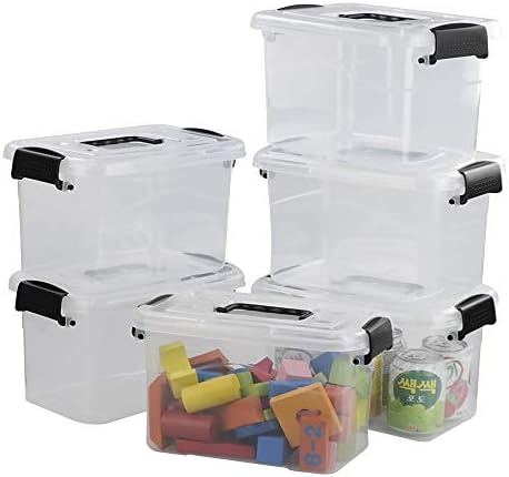 5 L Plastic Storage Bin with Lid, Transparent Organizing Box Set of 6