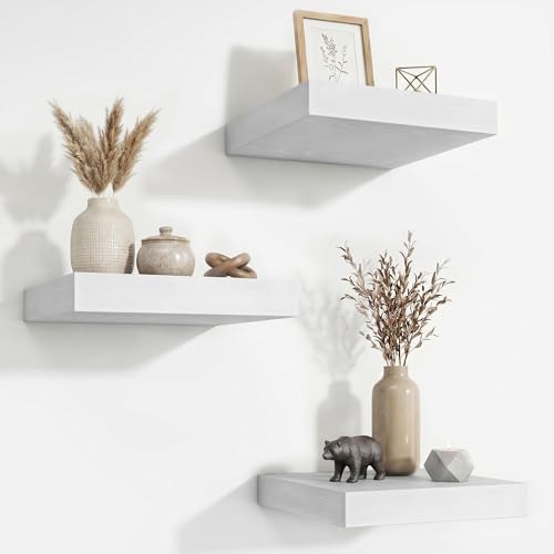 Acovy Floating Shelves for Wall 9 Inch,9.3" Deep Square Floating Shelf Set of 3,Wall Shelves Hanging Shelf with Invisibl