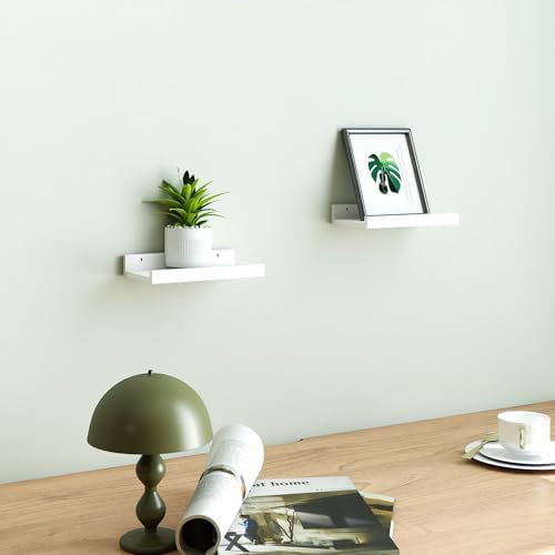 Small White Floating Shelves for Wall, Shelf with Lip Set of 2, 8 in