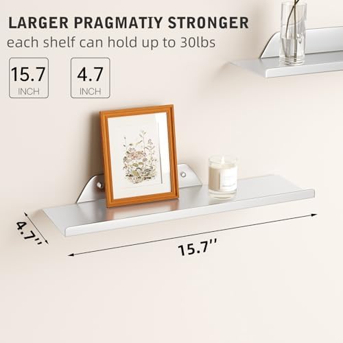 Floating Shelf for Wall, Off Center Metal Shelf for Decor, Modern Wall Shelf for Storage with Lip, Hanging Shelf for Liv