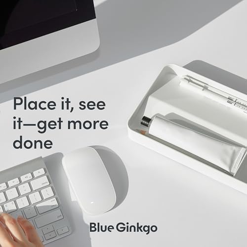 BLUE GINKGO Desk Organizer Tray, White, Made in Korea