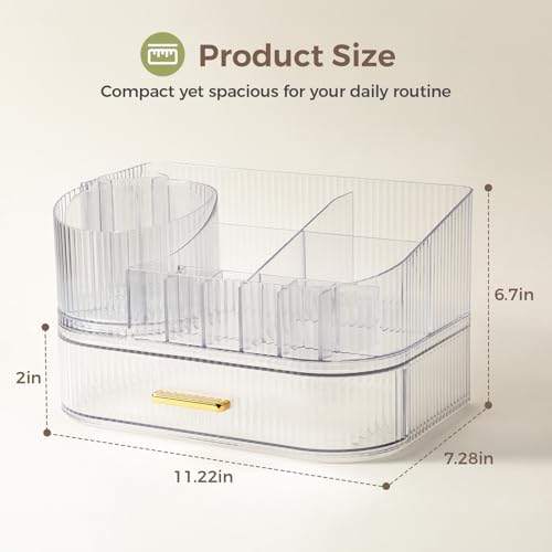Delamu Rotating Makeup Organizer countertop, Brush Holder for Vanity, Clear