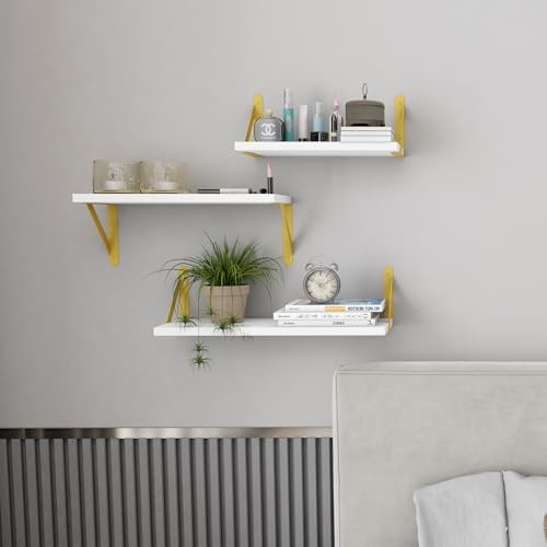 YGEOMER 4 Different Sizes Floating Shelves for Wall Decor, White and Gold