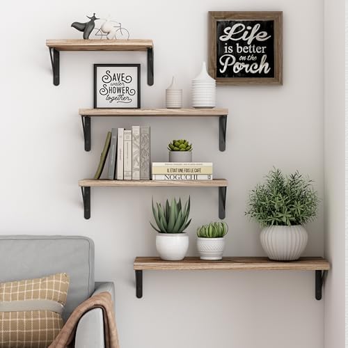 YGEOMER 4 Different Sizes Floating Shelves for Wall Decor, Light Carbonized