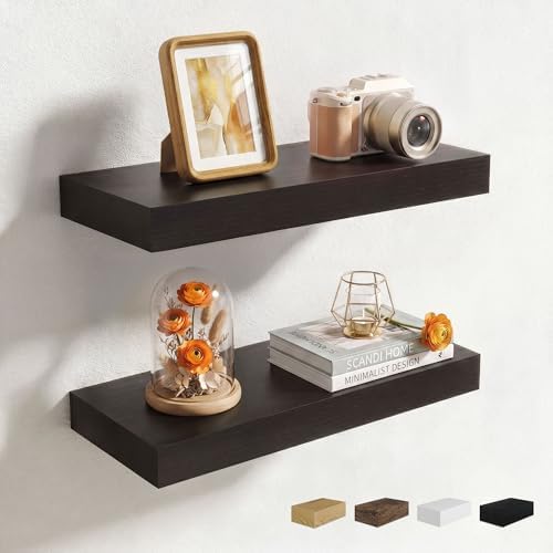 Axeman 16Inch Floating Shelves for Wall, 2 Packs, Invisible Brackets, Black