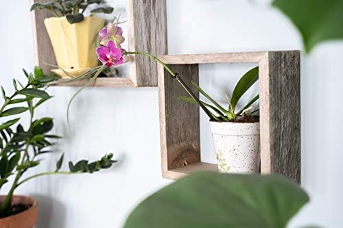 BARNWOODUSA Rustic Shelves, Square Floating Wood Shadowbox, Home Decor, Set