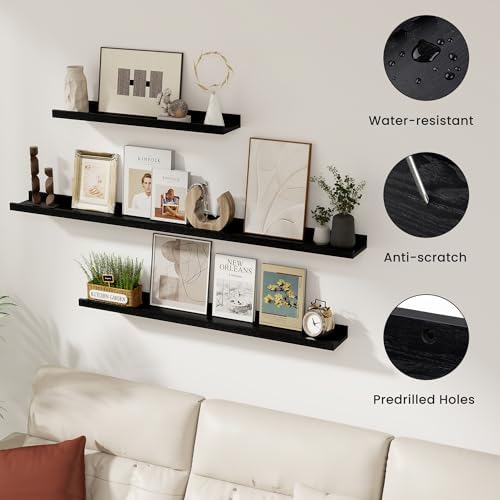 Acovy Solid Ash Wood Floating Shelves, 48 Inch, Black, Set of 2