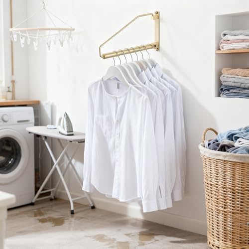 NEWRAIN Folding Wall Mounted Clothes Hanger Rack Clothes Hook Solid Brass with Swing Arm Holder Clothing Hanging System Closet Storage Organizer Heavy Duty Drying Rack Wall Mount,Brushed Gold