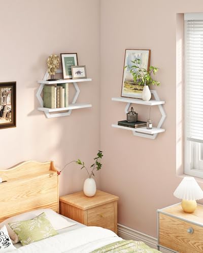 CHOEZON Hexagon Floating Shelves for Wall, Set of 2, 2 -Tier Hanging Shelves, Wall Mounted Storage Shelves, for Living R