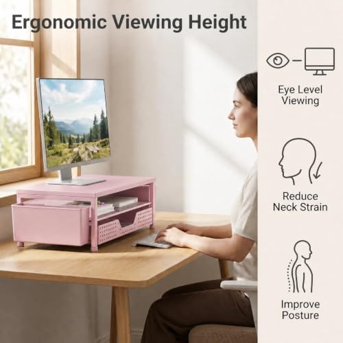 ECOLOVI Desk Organizer and Accessories, 2-Tier Computer Monitor Stand Rise with Storage Drawer & 2 Pen Holders, Laptop &