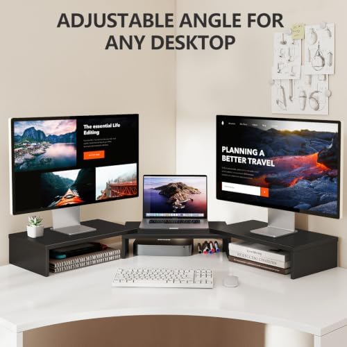 TAVR Monitor Stand Riser, Office Desktop Organizer Stand for 2 Monitors