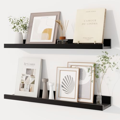 Dreamland Picture Ledge Shelf for Wall, Floating Shelves Set of 2, 24 Inch Long Floating Shelves with Lip for Living Room, Bedroom, Bathroom, Kitchen, Black