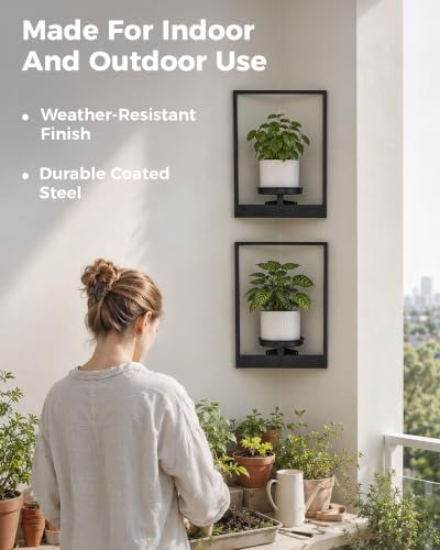 Bamworld Picture Frame Wall Planters Set of 2 Corner Wall Plant Holder