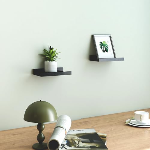 Small Black Floating Shelves for Wall, Shelf with Lip Set of 2, 8 in