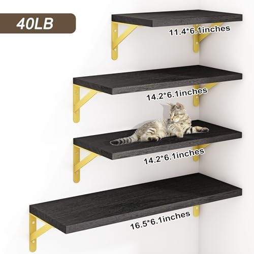 YGEOMER 4 Different Sizes Floating Shelves for Wall Decor, Black and Gold