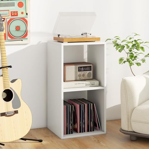 2 Cube Storage Organizer, 2 Tier Floor Standing Bookcase (White)