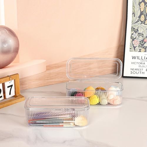 JessLab Makeup Brush Holder Organizer, Clear Makeup Sponges Organizer, Cosmetic Storage Case with Lid Display Case for V