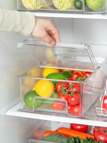 SANNO Freezer Containers Food Storage Containers Fridge Containers Plastic Organization Storage Bin for Fridge, Freezer,