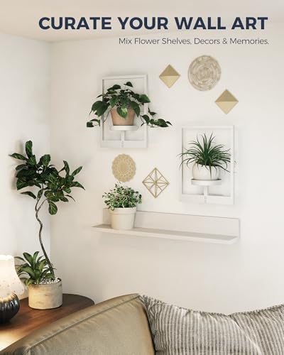 Bamworld Wall Plant Holder Plant Stand Indoor Wall Planters White