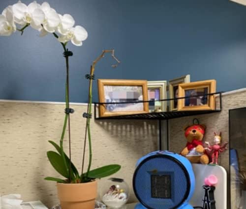 Bioristar Office Cubicle Floating Corner Shelf Iron Wire Desk Sundries Storage Rack Office Cubicles Hanging Corner Shelf