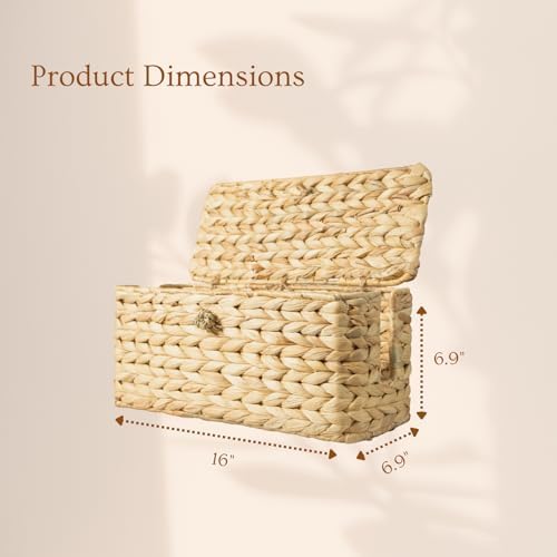 Wicker Cable Management Box with Lid, A Handwoven Water Hyacinth Cords Hider Box for TV, Computer, Router, USB Hub to Hi