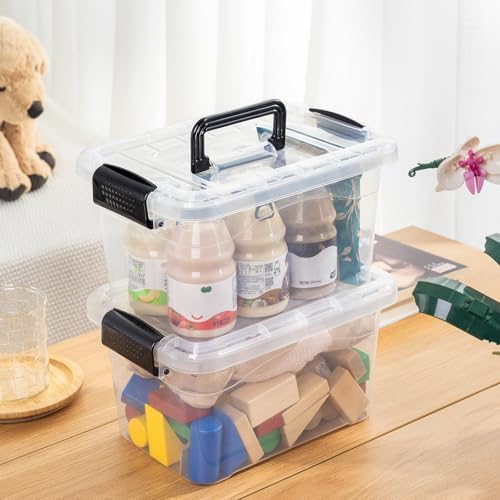 Cetomo 6Lx20 Pack Storage Boxes, Storage Box with Lids and Handle for Home Dorm Office Organization, Stackable Nesting T