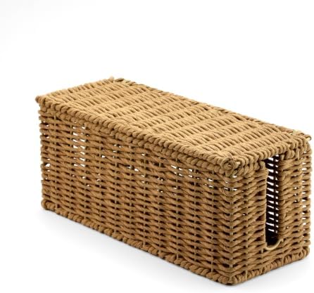 Handwoven Natural Raffia Cable Management Box with Lid – Decorative Cord Organizer for Power Strips, Surge Protectors & 
