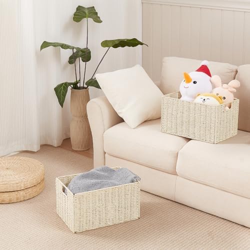 Vagusicc Wicker Storage Basket, Set of 2 Hand-Woven Paper Rope Wicker Basket, Small Storage Baskets for Organizing Toile