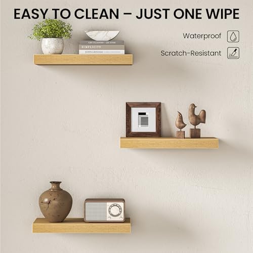 Fun Memories Floating Shelves for Wall 16 Inch, Set of 2 – Wall-Mounted Storage & Display Shelf with Invisible Bracket, 