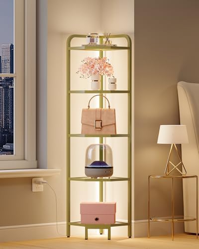 Hzuaneri Corner Shelf with LED Lighting, 5-Tier Glass Bookshelf