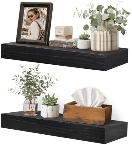 Floating Shelves, 17 Inch Wall Mounted Shelves, Set of 2, Black