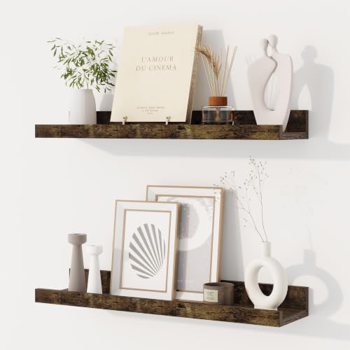 Dreamland Picture Ledge Shelf for Wall, Floating Shelves Set of 2,20 inch Long Floating Shelves with Lip for Living Room